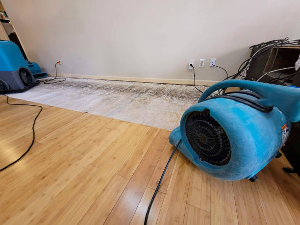 Professional Structural Drying technician working in Johannesburg, CA